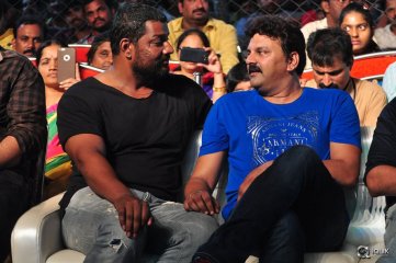 Sarrainodu Movie Blockbuster Function